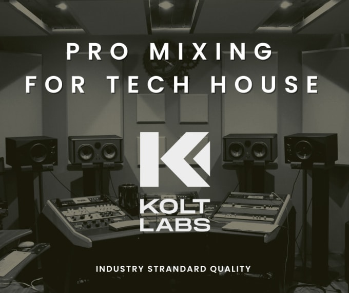 Gig Preview - Offer professional quality mixing for your tech house track