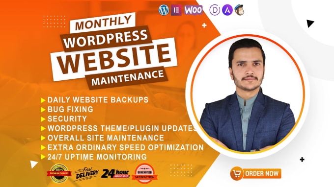 Gig Preview - Provide maintenance and support for your wordpress website