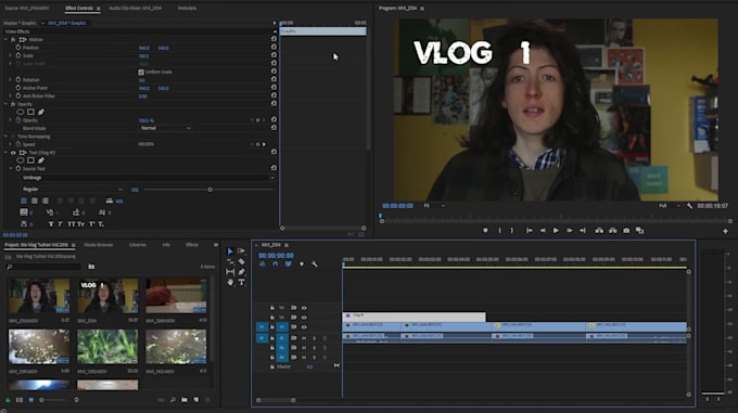 Gig Preview - Do professional video editing for 24 hours