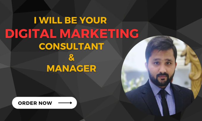 Gig Preview - Be your digital marketing consultant and manager