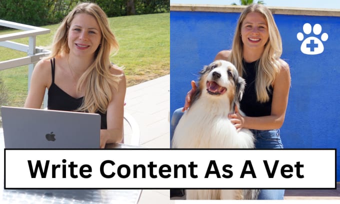 Bestseller - write quality content as a vet