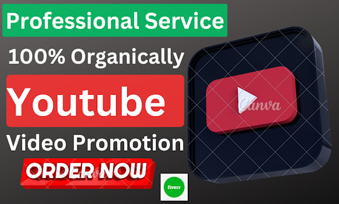 Gig Preview - Do professional organic youtube video and channel promotion