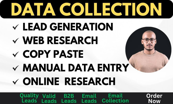 Gig Preview - Do accurate data collection, copy paste, web research and excel data entry jobs