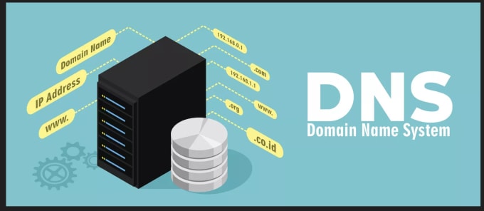 Gig Preview - Dns, domain transfer, hosting, website transfer