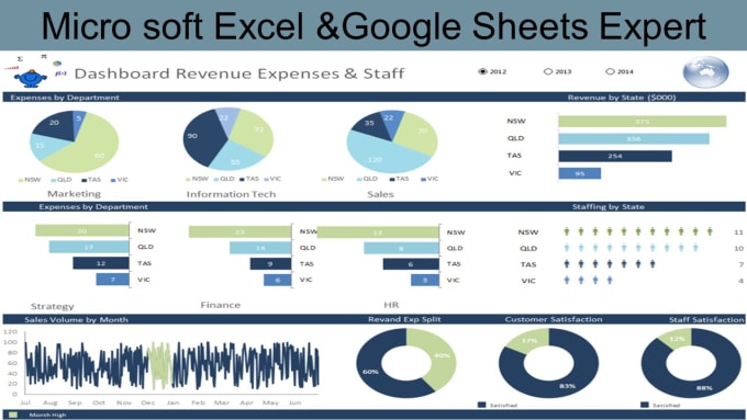 Gig Preview - Do data visualization on excel and google sheets