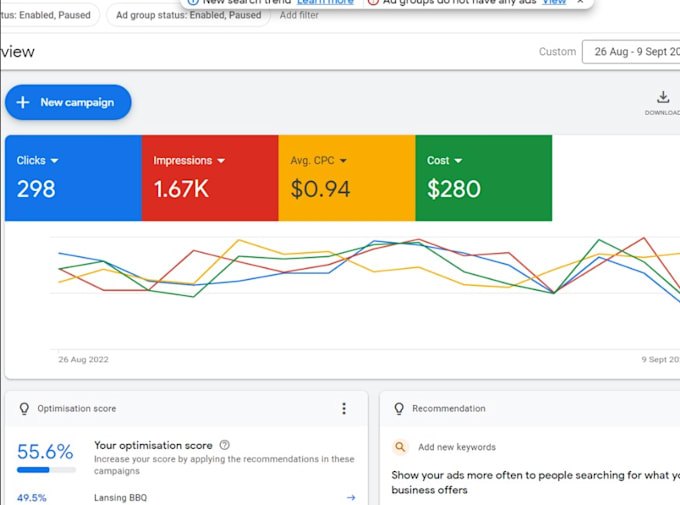 Gig Preview - Optimize your google ads campaigns