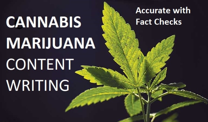 Gig Preview - Write accurate cannabis marijuana cannabinoid thc content