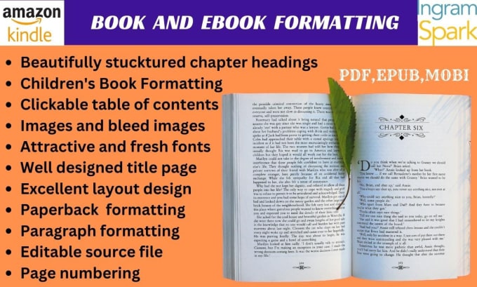 Gig Preview - Do book ebook formatting and layout desing, resume and paperback formatting kdp