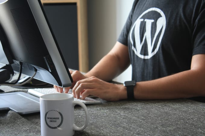 Gig Preview - Develop and fix your wordpress website