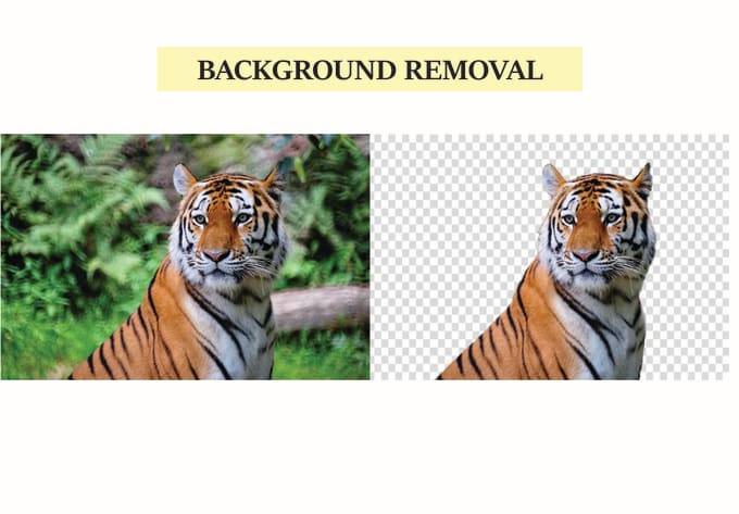 Gig Preview - Do photo background removal and image editing