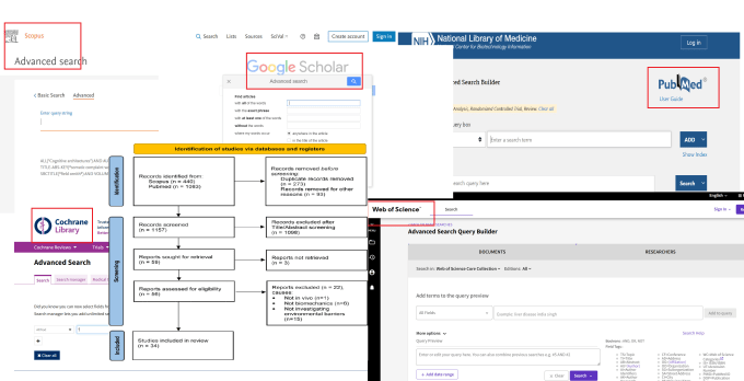 Gig Preview - Retrieve relevant articles from databases for your systematic or scoping review