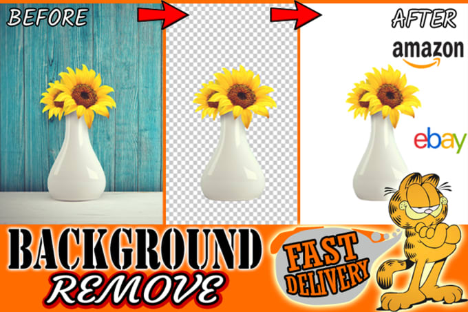 Gig Preview - Remove image background removal by photoshop