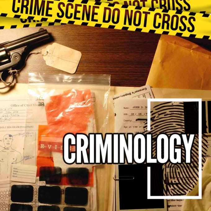 Gig Preview - Do urgent criminology essays, criminal justice, and law