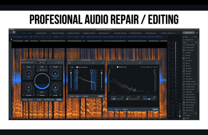 Gig Preview - Repair, clean and mix your audio files