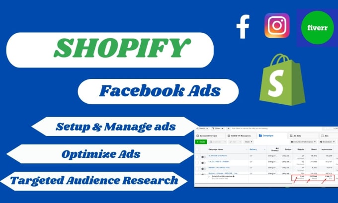 Gig Preview - Setup shopify facebook ads,advertising, marketing for your business