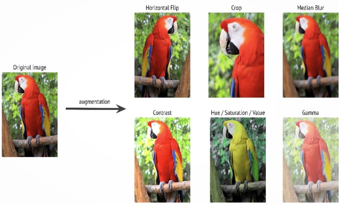 Gig Preview - Do data annotation, augmentation and manipulation on images dataset