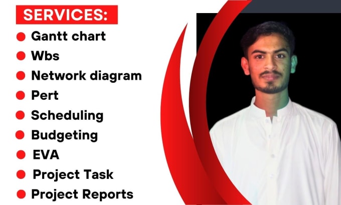 Gig Preview - Create network diagram, gantt charts, and wbs in ms project and excel