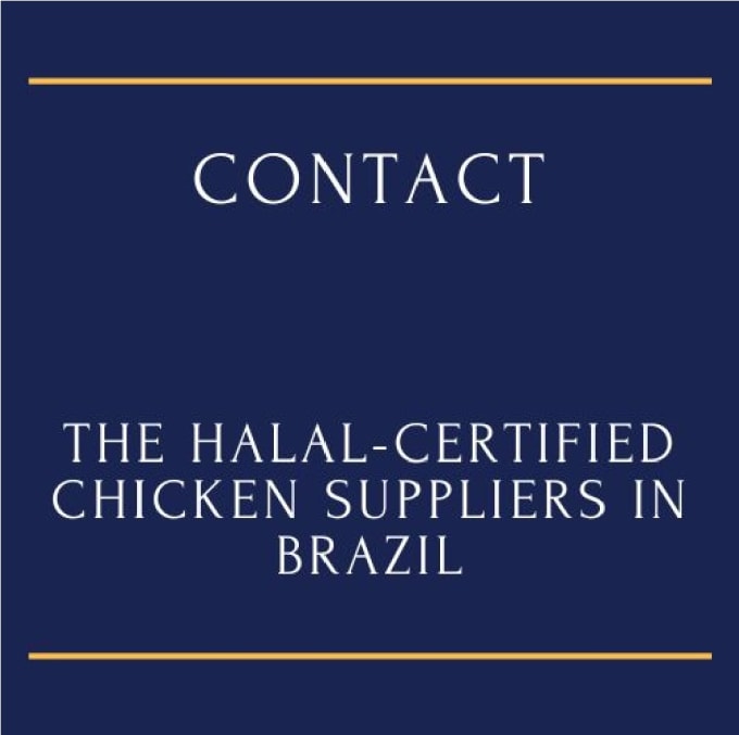 Gig Preview - Present your company to brazilian halal certified chicken suppliers