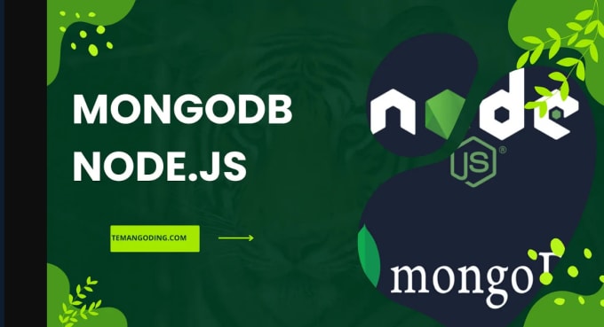 Gig Preview - Build a scalable backend with node js and mongoose