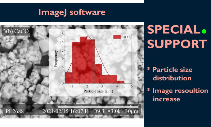 Gig Preview - Process SEM data and analyze the particle size distribution