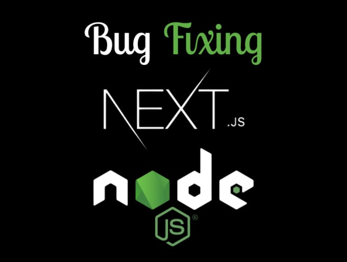 Gig Preview - Solve your next js and node js issues