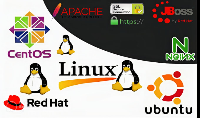 Gig Preview - Fix linux web server issues, ssl, jboss, apache, ngnix