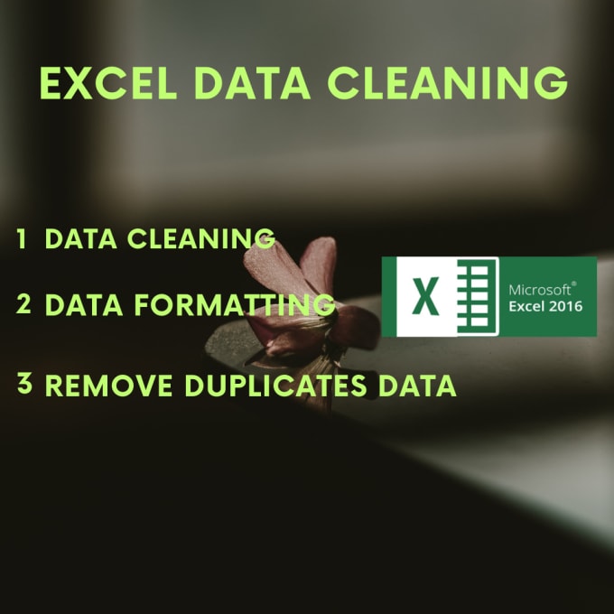 Gig Preview - Do excel data cleaning, formatting, and remove duplicate