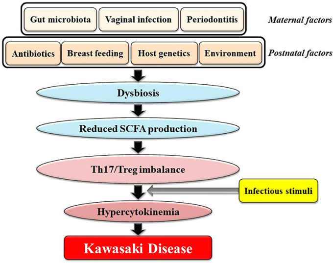 Gig Preview - Assist with biochemistry anatomy and physiology