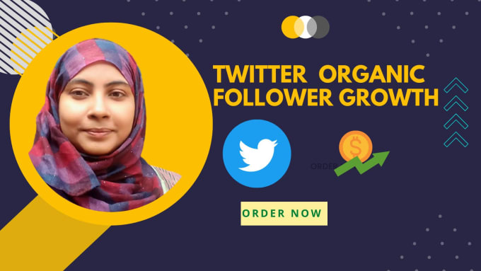 Gig Preview - Do twitter promotion and organic follower growth