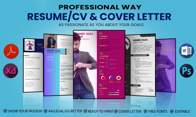 Gig Preview - Provide professional resume design, resume editing,CV design and template