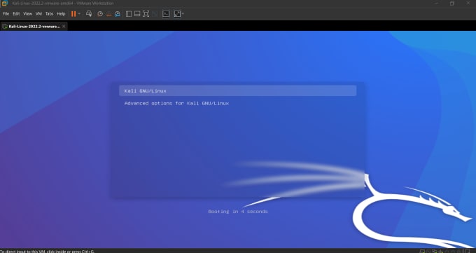 Gig Preview - Install and configure kali linux as a virtual machine