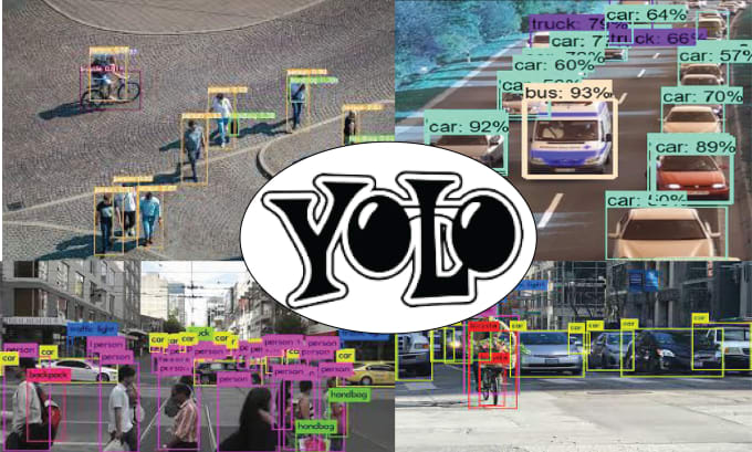 Gig Preview - Make yolo models for you