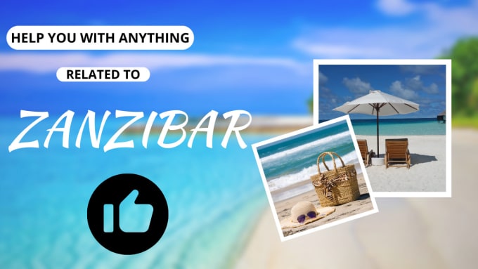 Gig Preview - Help you with anything related to zanzibar