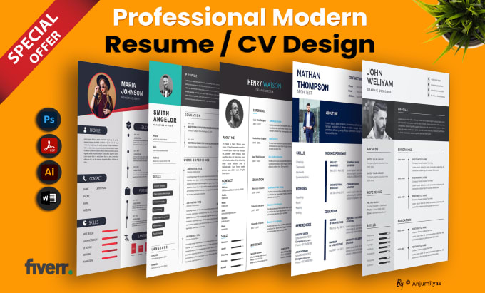 Gig Preview - Make impressive professional resume design and cv design