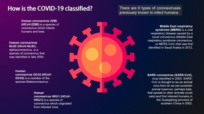 Gig Preview - Design a professional infographic