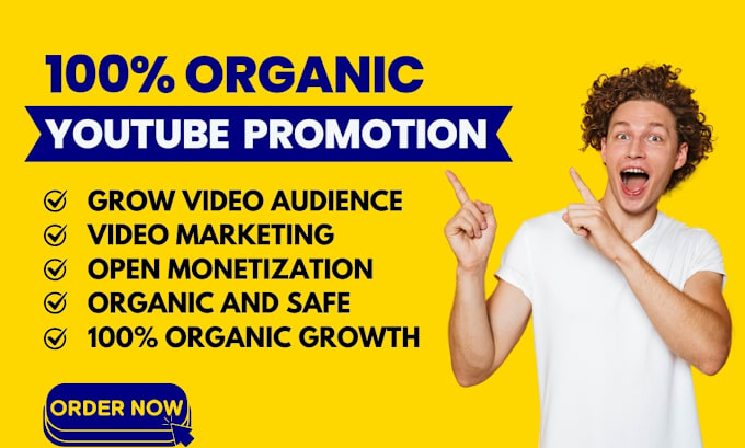 Gig Preview - Do super fast organic youtube video promotion