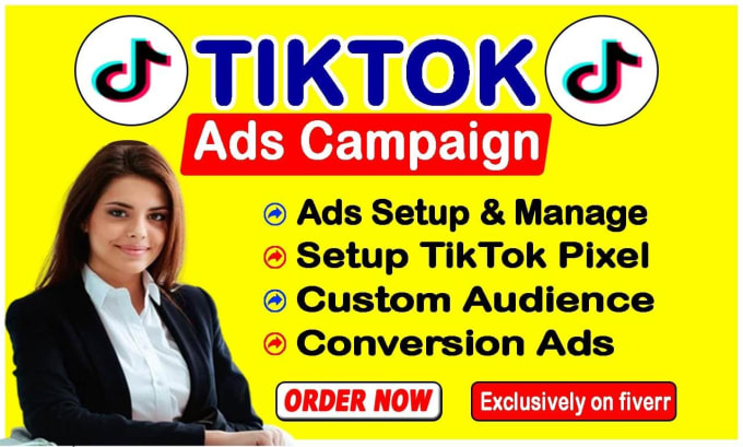 Gig Preview - Setup tiktok video ads, tiktok video ads campaign and tiktok ads manager