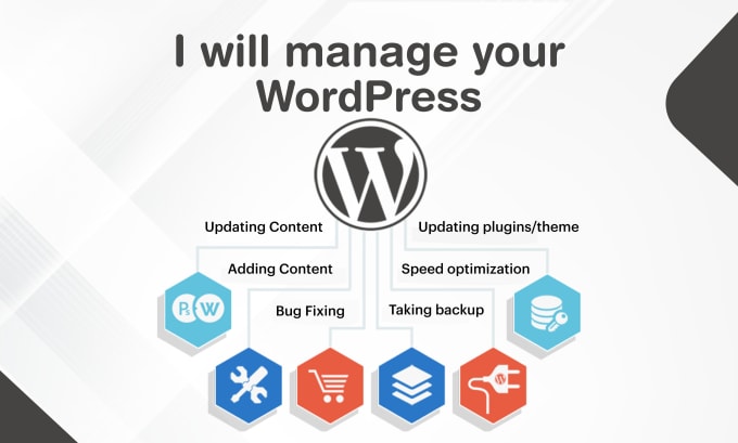 Gig Preview - Do website maintenance and update your wordpress website