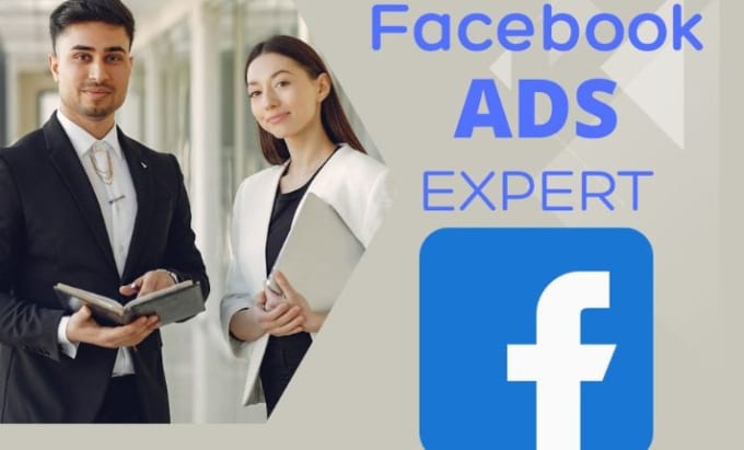 Gig Preview - Set up profitable facebook ads campaign