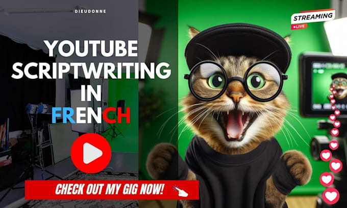 Gig Preview - Write your youtube video scripts in french, video scriptwriting