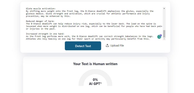 Gig Preview - Write an article using chat gpt ai and edit it manually