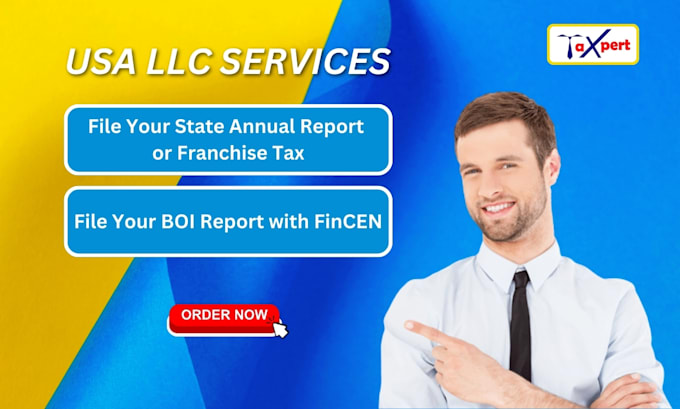 Gig Preview - File your llc annual report in any state and boi report with fincen