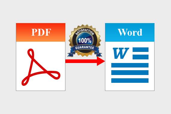 Bestseller - convert pdf to word, scanned image to word or google docs