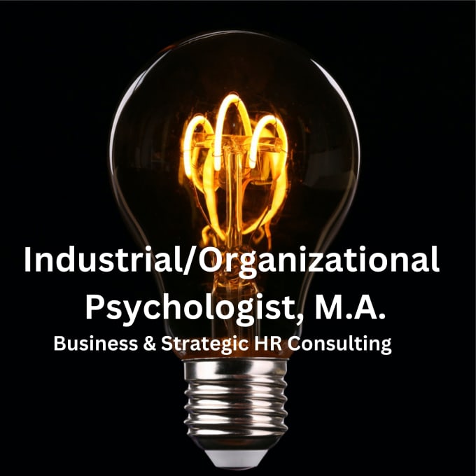 Gig Preview - Be your io industrial organizational psychology HR consultant