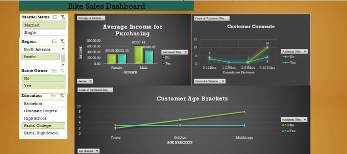 Gig Preview - Use microsoft excel and power bi to perform data visualization