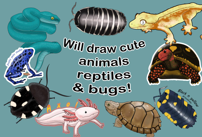 Gig Preview - Draw cute reptiles and bugs