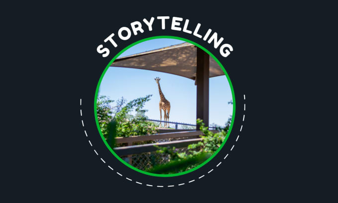 Gig Preview - Create storytelling for your brand or campaign