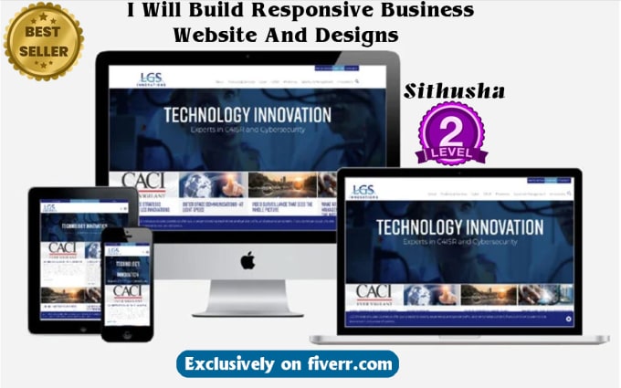 Gig Preview - Build responsive business  website and designs