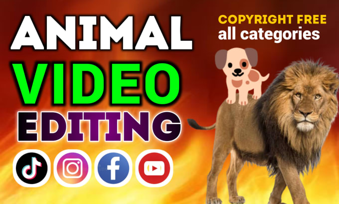 Gig Preview - Create pet animals copyright free videos for social media