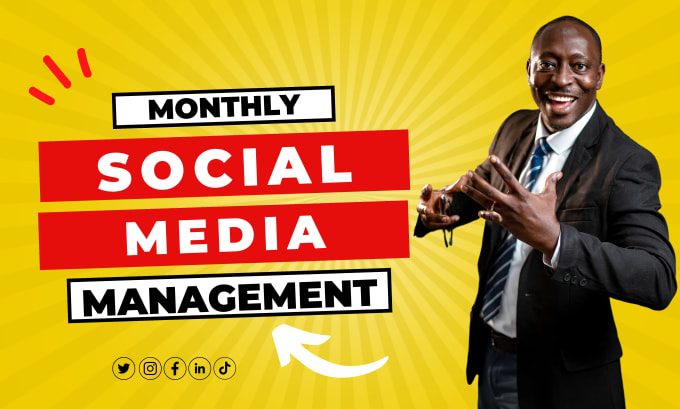 Gig Preview - Provide monthly social media management services